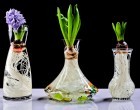 Five Different Vegetables That Re-Grow Themselves