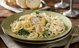 The Only Recipe For Chicken & Broccoli Alfredo That Will Not Have You Feeling Guilty The Next Day