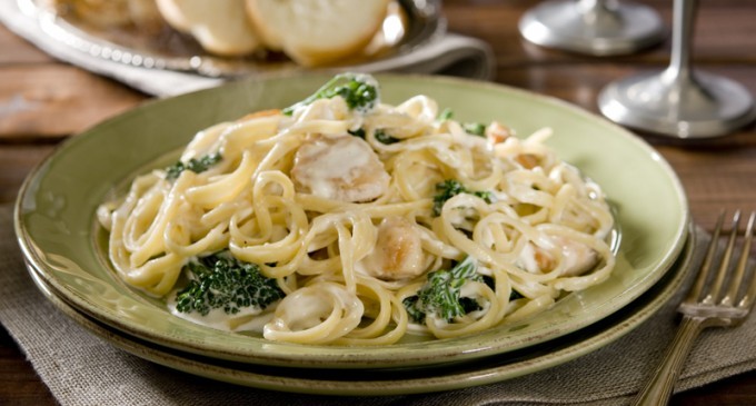 The Only Recipe For Chicken & Broccoli Alfredo That Will Not Have You Feeling Guilty The Next Day