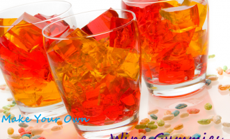 Make Your Own Wine Fruit Snacks