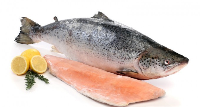 How To Tell If You’re Buying Fresh Fish