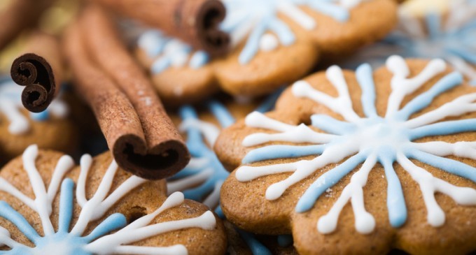How To Make Perfect Holiday Gingerbread Cookies At Your Next Baking Shin Dig
