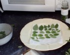 Twenty Simple Cooking Hacks That Are Guaranteed To Make Your Life Easier