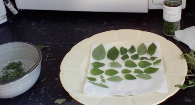 Twenty Simple Cooking Hacks That Are Guaranteed To Make Your Life Easier