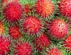 7 Weird and Wacky Fruits to Tingle Your Tastebuds