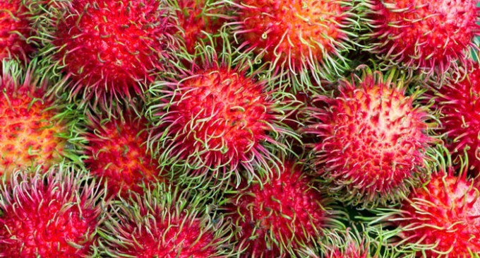 7 Weird and Wacky Fruits to Tingle Your Tastebuds