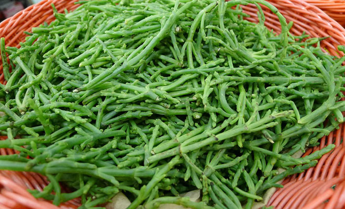 sea beans