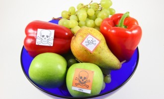 The Worlds Deadliest Delicacies: 10 Common Fruits & Vegetables That Are Super Poisonous If Cooked Wrong