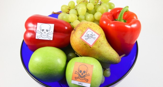 The Worlds Deadliest Delicacies: 10 Common Fruits & Vegetables That Are Super Poisonous If Cooked Wrong