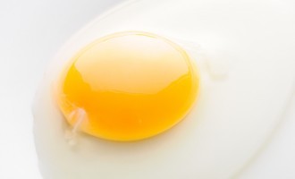 What Are Those Weird White Strings Inside A Raw Egg?