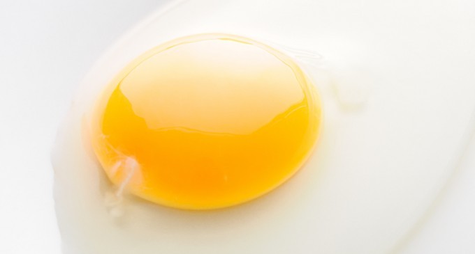 What Are Those Weird White Strings Inside A Raw Egg?