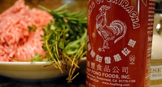 17 Of The Greatest Sriracha Hot Sauce Recipes In The World – You Can Put This Stuff On Anything!