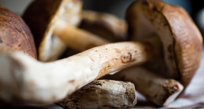 Seven Different Types Of Foods That Can Possibly Kill You – Don’t Make Dinner Until You See This List!