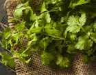 Keep Your Cilantro Fresh For Two Weeks Or Longer: All You Need To Do Is THIS!