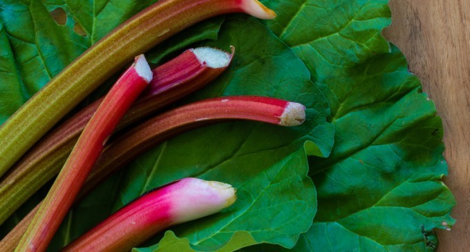 Ten Foods You Didn’t Know That Could Kill Or Paralyze You Just From A Few Innocent Bites