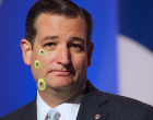 You Are Never Going To Believe What Ted Cruz Said About Avocados: This Was His Boldest Statement!