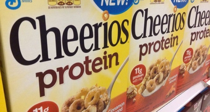 We Just Did Some Investigating On The New Protein Cheerios & What We Found Out Is Disappointing !