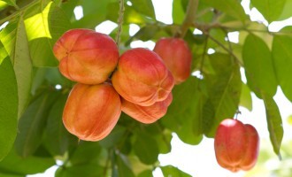 Eat At Your Own Risk: If Not Cooked Properly These Foods Can Kill You Within Minutes!