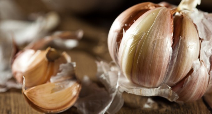 We’ve Found Out Why Some Veggies Make You Stink – What We Discovered Is Shocking!