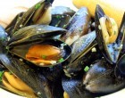 Something Strange & Horrible Is Happening To Mussels World-Wide…It’s Horrifying!