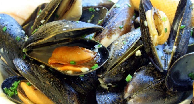 Something Strange & Horrible Is Happening To Mussels World-Wide…It’s Horrifying!