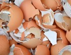 Why You Should Be Eating Your Eggshells Instead Of Throwing Them In The Compost Pile Or Trash