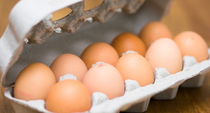 Make Your Carton Of Fresh Eggs Last Longer – No Refrigeration Required!!!