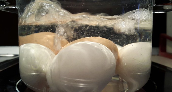 Weird, True & Freaky Hacks That You Can Do With An Egg – You Have To See This To Believe It!