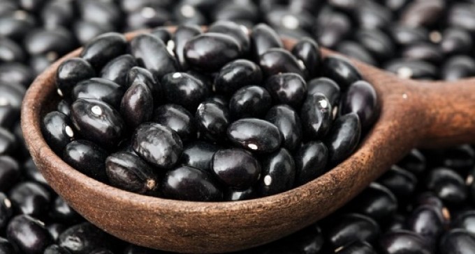 Important Food Recall Notice: You Are Never Going To Believe What Inspectors Found In Black Beans!