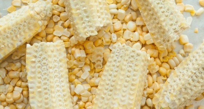 Have Some Empty Corn Cobs? Don’t Throw Them In The Trash – Make This Instead!
