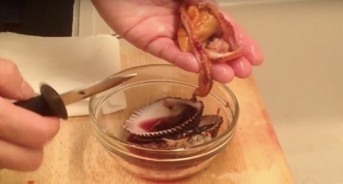 Would You Ever Eat This Even If It Had A High Potential Of Murdering You? These People Did & Love It!