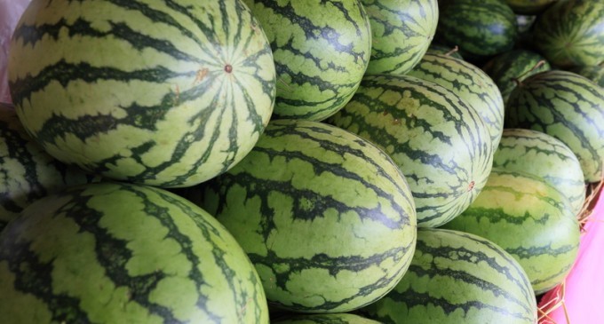 How To Pick The Perfect Melon With This Age-Old Trick!