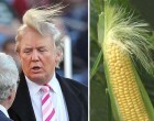 A Hilarious Explanation Of Donald Trump’s Hair Demonstrated By Food