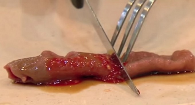 Terrible Food People Have To Eat When They Have No Other Choice: Some Of These Recipes Are Insane!