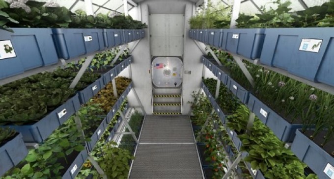 Hungry Scientists Are Growing Crops In Outer Space & Actually Eating Them!