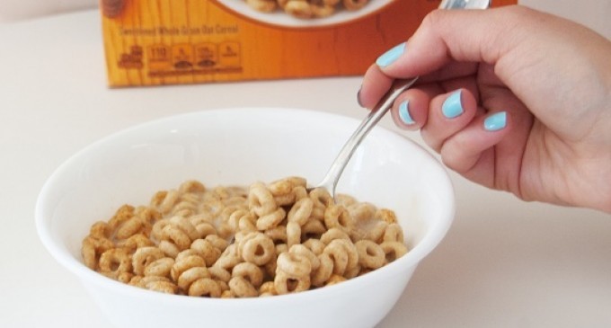 OMG…. Cheerios Just Came Out With A New Flavor & It Is The Best Thing We’ve Ever Had In Our Life!