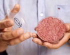 Forget The Meat & Dairy Industry: The Future Is All About Lab-Grown Meat & Bi-Products