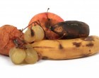 The Reason Why People Should Never-Ever Be Afraid To Eat Bruised Fruit