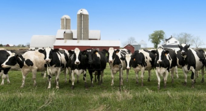 The Why New York City’s Last Remaining Dairy Plant Is Closing It’s Doors This Year After 80 Years In Business!