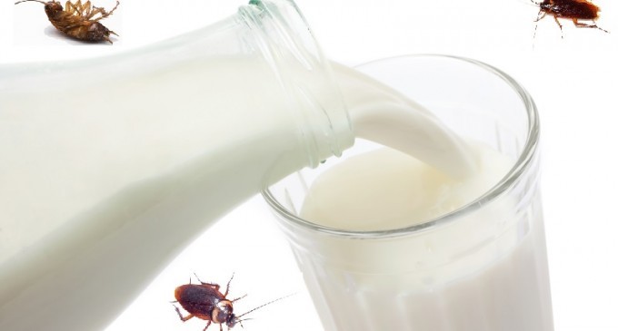 We Just Found Out What The Next Super Was For Health Nuts & It Left Us Completely Shocked  & Disgusted!