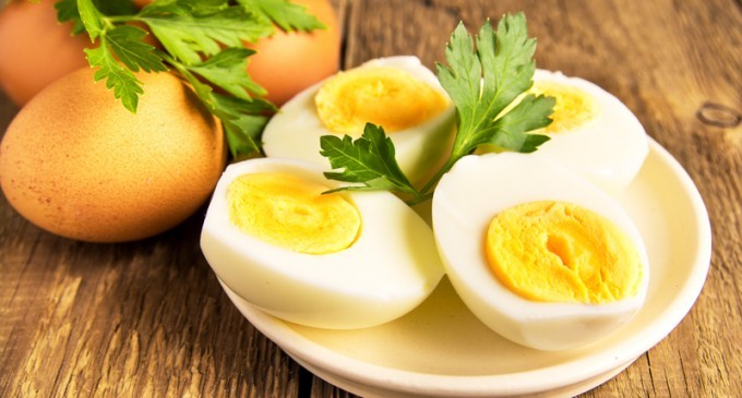 Stop Ruining Your Hard Boiled Eggs! We Just Found Out The Best Way To Make Them Perfectly Every Time!