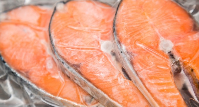GMO Salmon Could Be The Next Big Thing To Hit Supermarkets & The Reason Why Is Disturbing