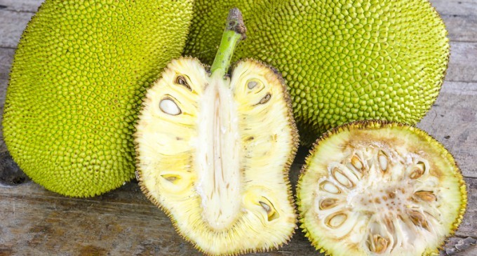 The Reason Why Everyone Should Be Eating Breadfruit At Least Once A Week