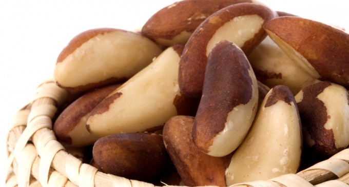 We Just Found Out That Brazil Nuts Shouldn’t Be Labeled As Nuts- Actually They Are Not Even Brazilian Either