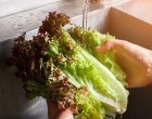 The Fastest Way To Dry Lettuce Without Using Paper Towels Or A Fancy Kitchen Gadget