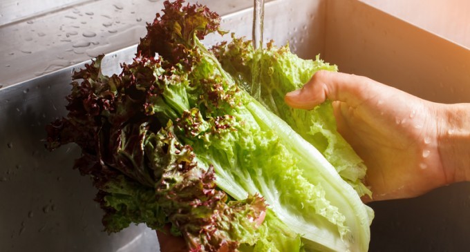The Fastest Way To Dry Lettuce Without Using Paper Towels Or A Fancy Kitchen Gadget