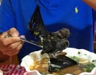 These 4 Dishes Sound Truly Disgusting But In Some Parts Of The World People Eat Them Just To Survive!