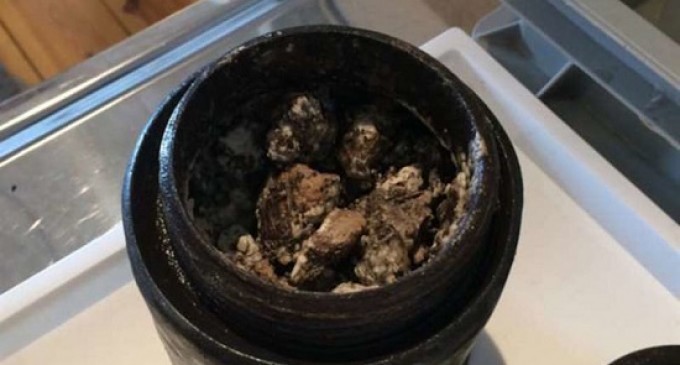 Divers Just Found A 17th Century Shipwreck & What They Found Is Making Chefs Around The World Absolutely Crazy!