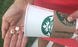Woman Goes To The Emergency Room Doubled Over In Pain After Finding Poison In Her Starbucks Coffee