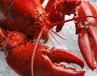 This Popular Lobster Fest Was Forced To Feed Their Guests Something Gross After All Of The Lobsters Went Missing